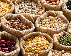 Legumi e soia