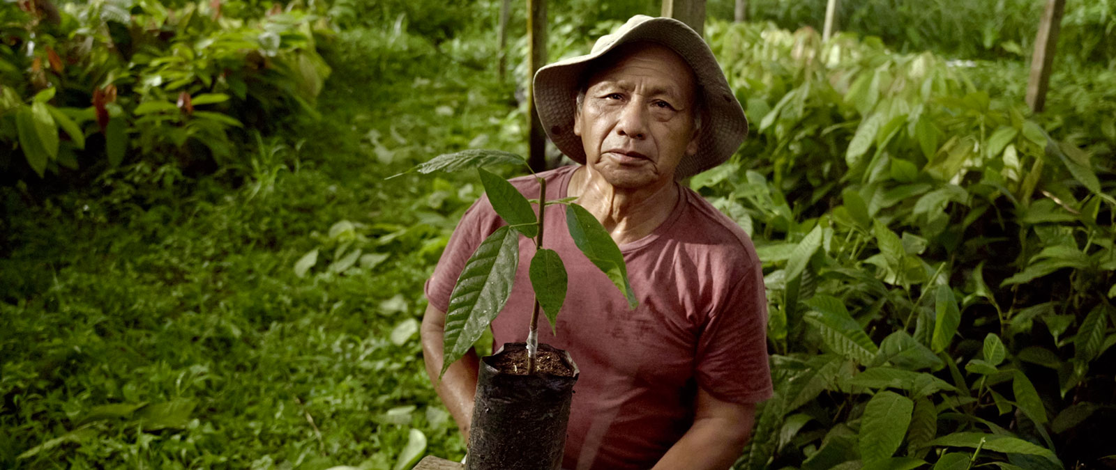 Milano Civil Week in IULM