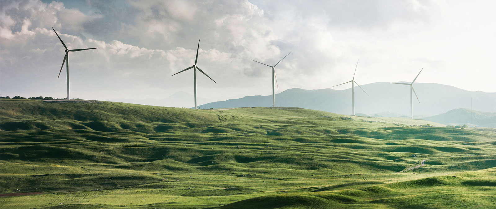 IULM Sustainability Week