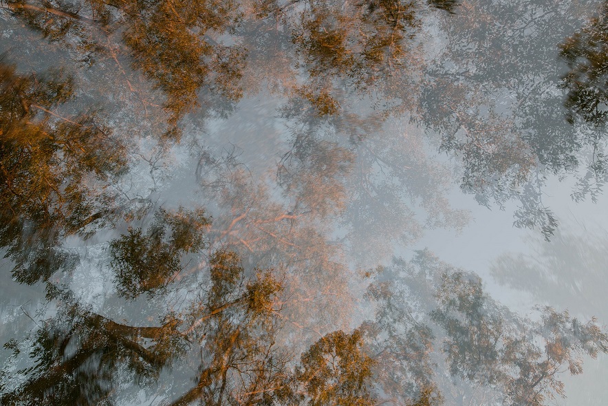 Eco-Imagination for a Sustainable Future