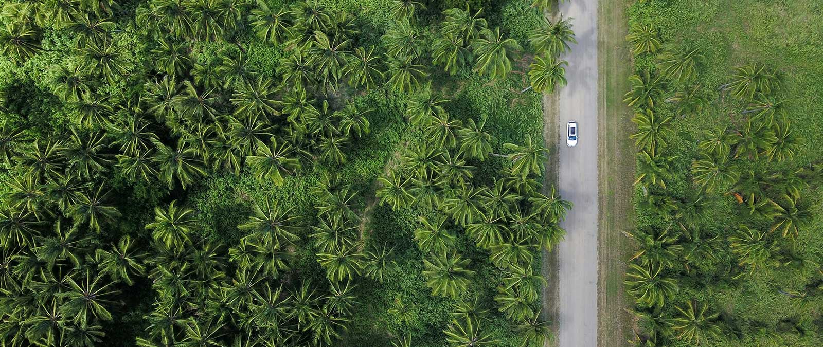 Turismo sostenibile: un'intervista alla Prof.ssa Scuttari in occasione della Giornata Mondiale dell'Ambiente