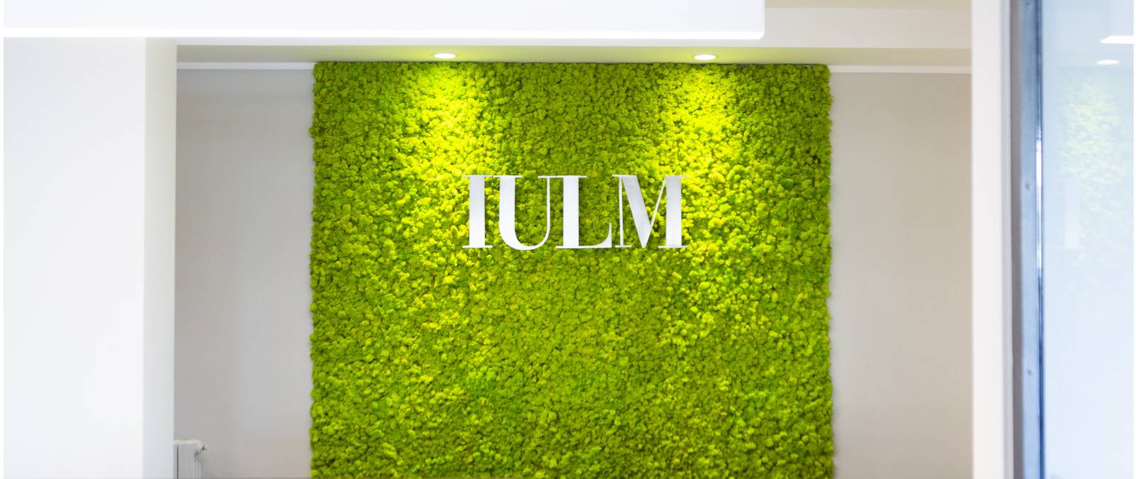 IULM 7 is born
