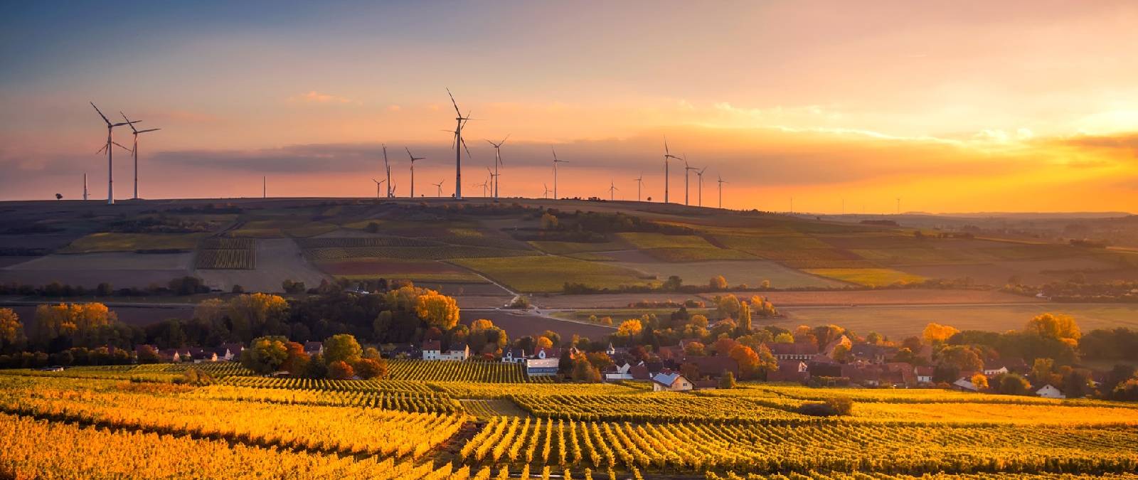 Un nuovo Master in Marketing etico e Comunicazione per la sostenibilità