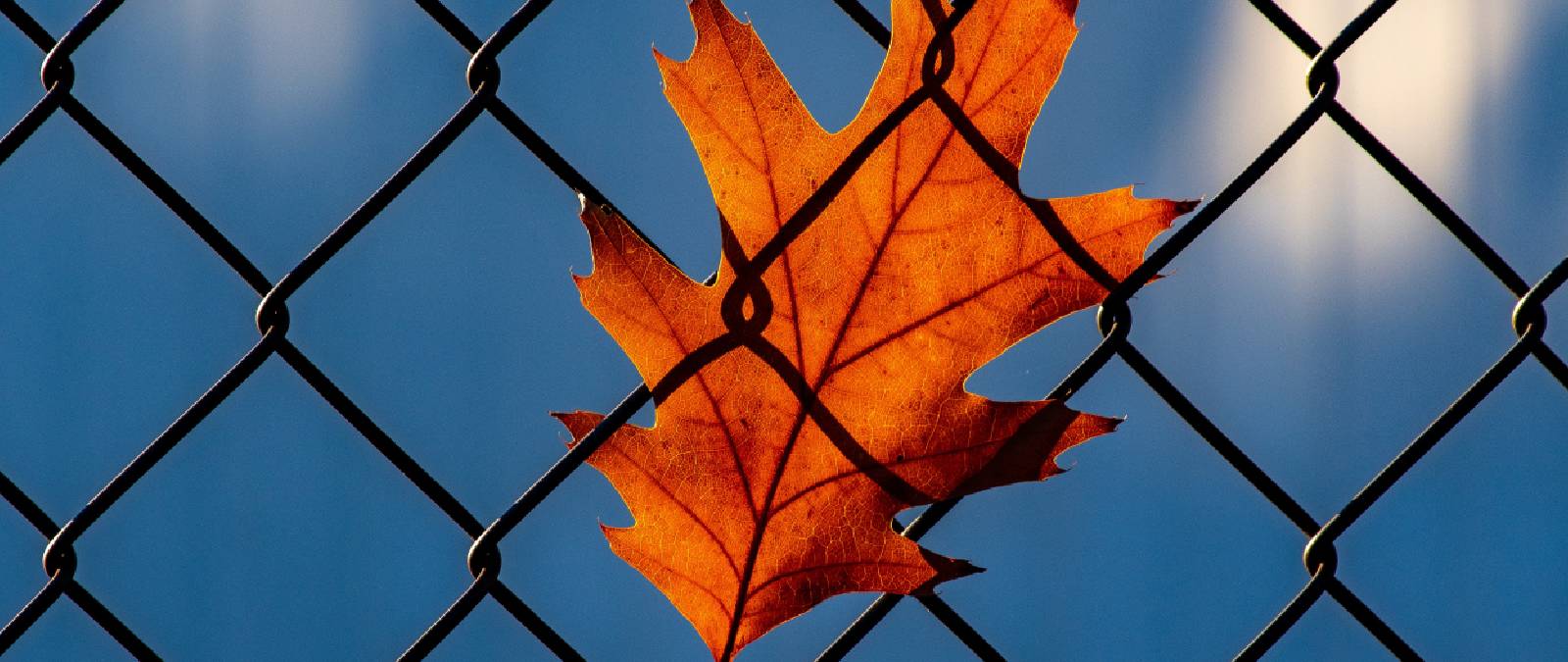 Se i confini fisici aprono gli occhi su quelli invisibili