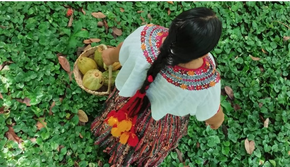 Cacao: una summer school virtuale