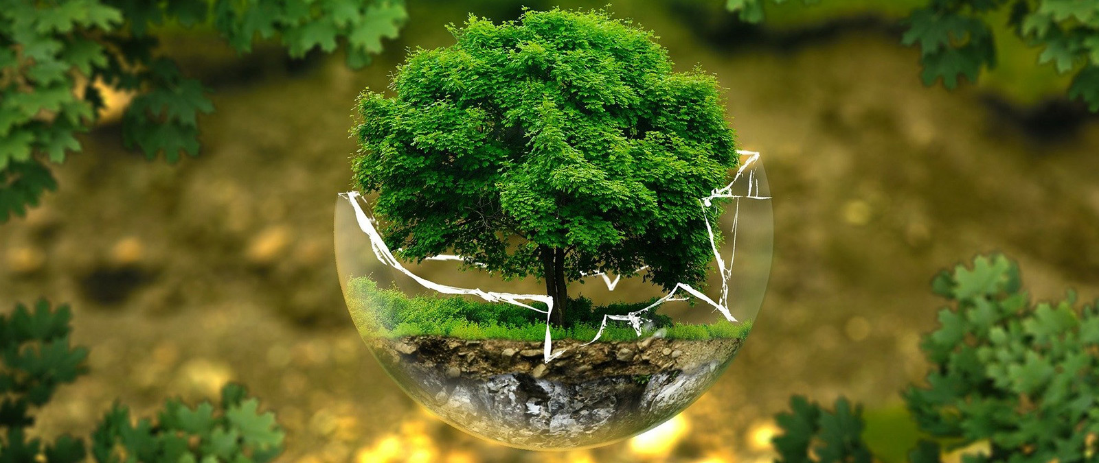 NATiURB: Natura per una rigenerazione urbana inclusiva e innovativa