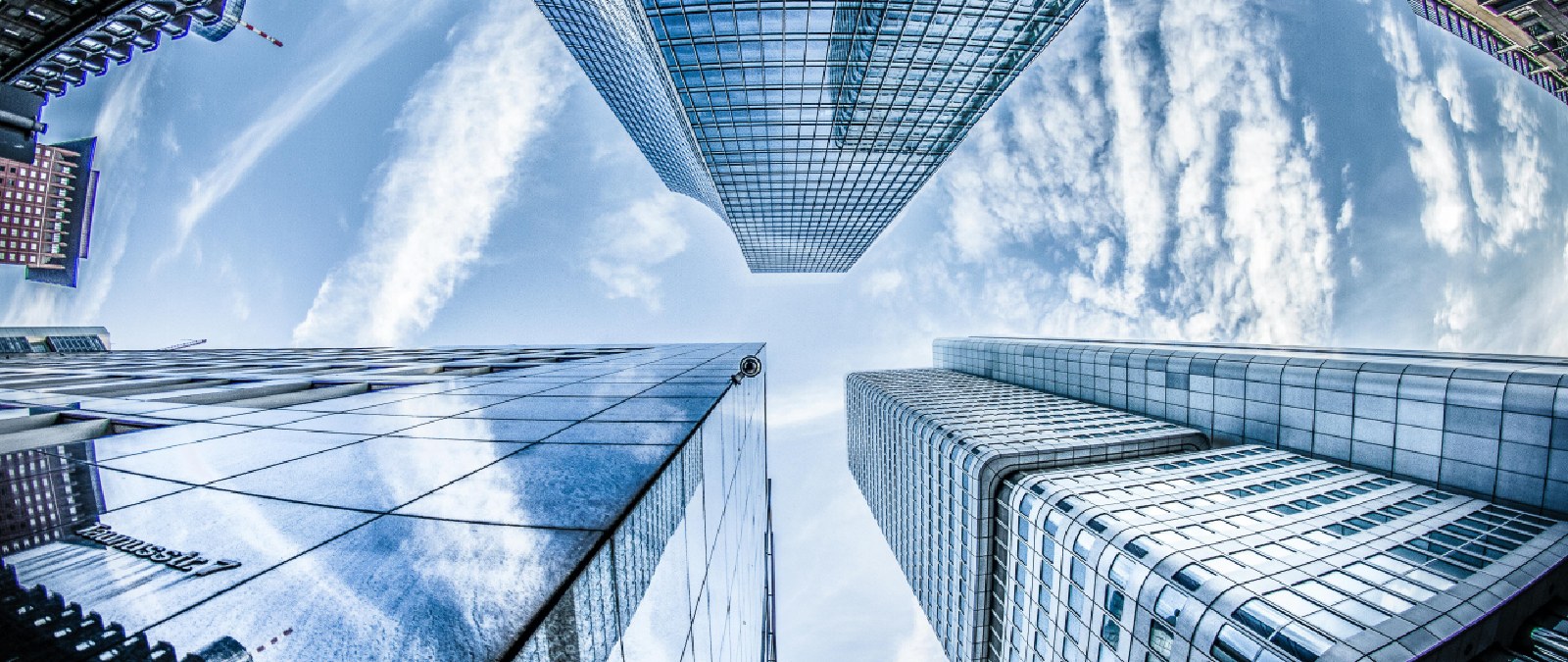 Employer Branding nelle PMI: intervista alla Prof.ssa Mazzei