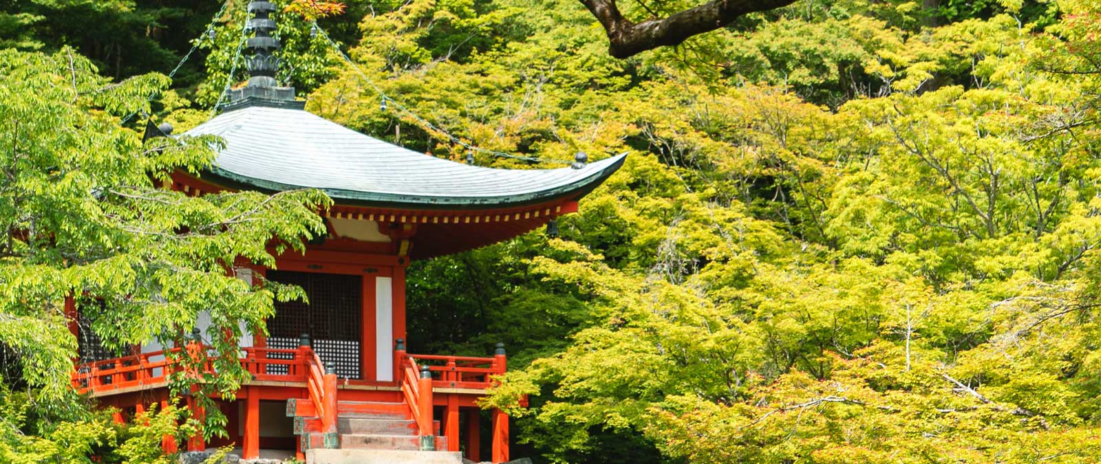 IULM Flow Talk 33: Tomorrow's China.Technology.Challenges.Sustainability