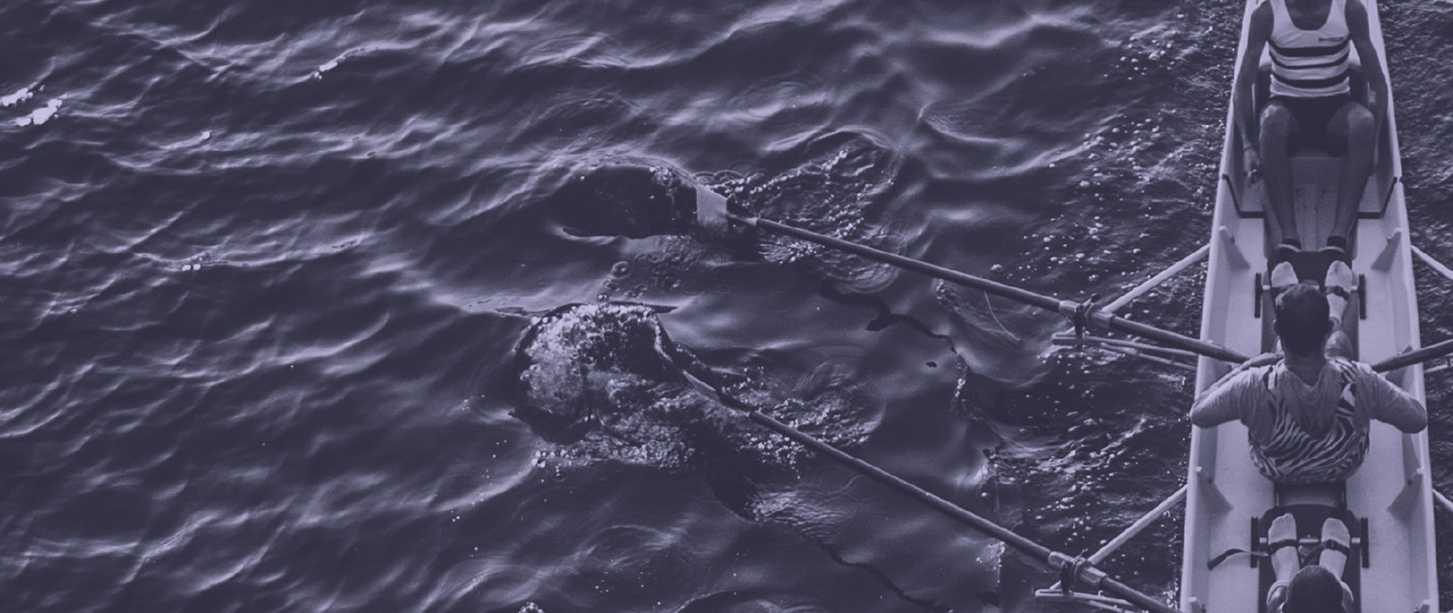 IULM launches the series of meetings Leaders: Women and Men who lead communities into the future and know how to tell the story