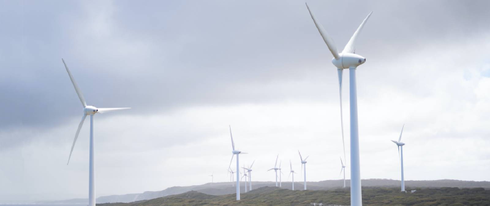 Panel sulla sostenibilità/ESG