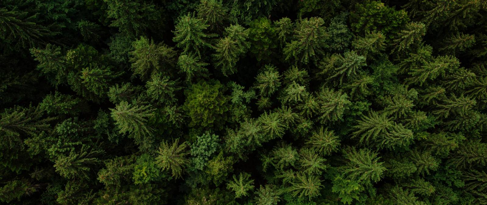 IULM Masterclass: Communication trends and strategies for a sustainable future