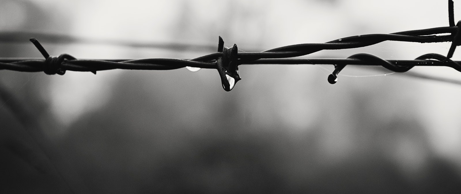 Giornata della memoria. Per non dimenticare