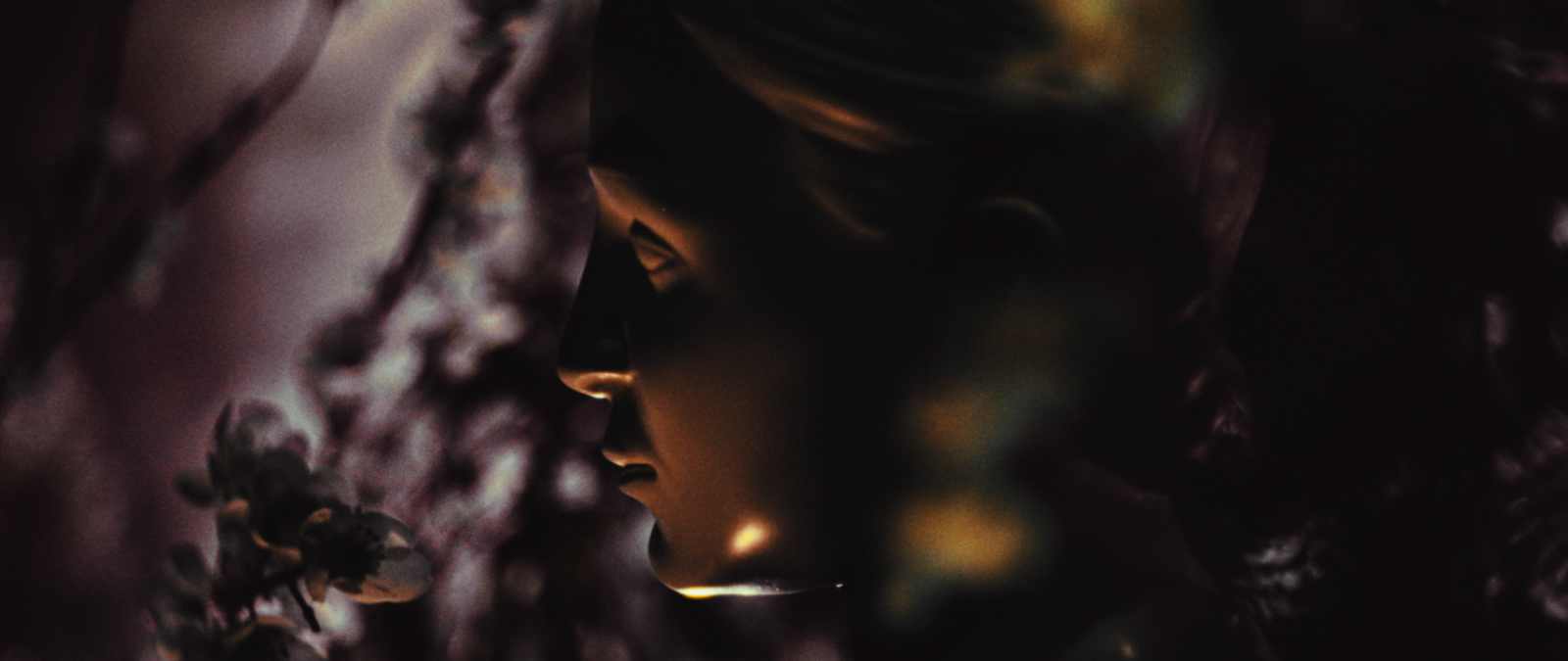 ScentDia: the project explained by Professor Damiano