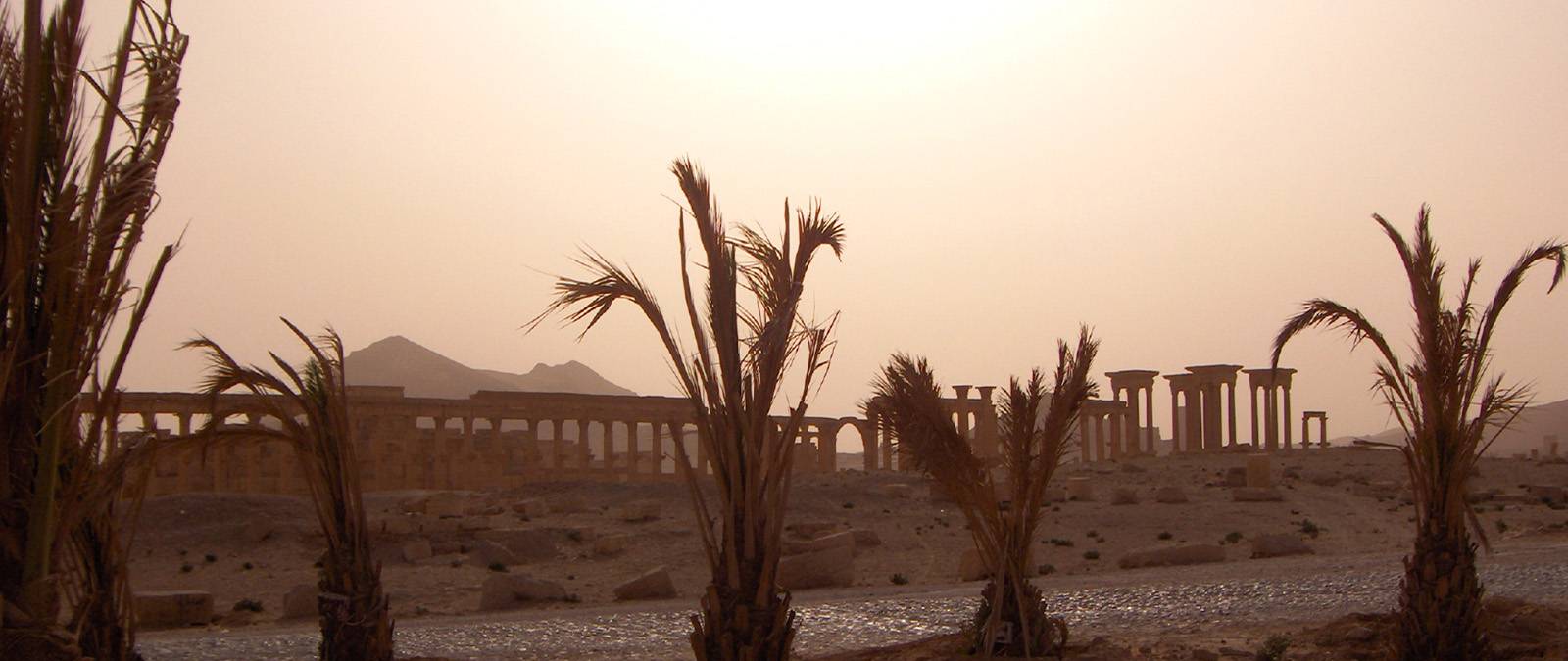 IULM Flow Talk 32: Public archaeology for displaced communities