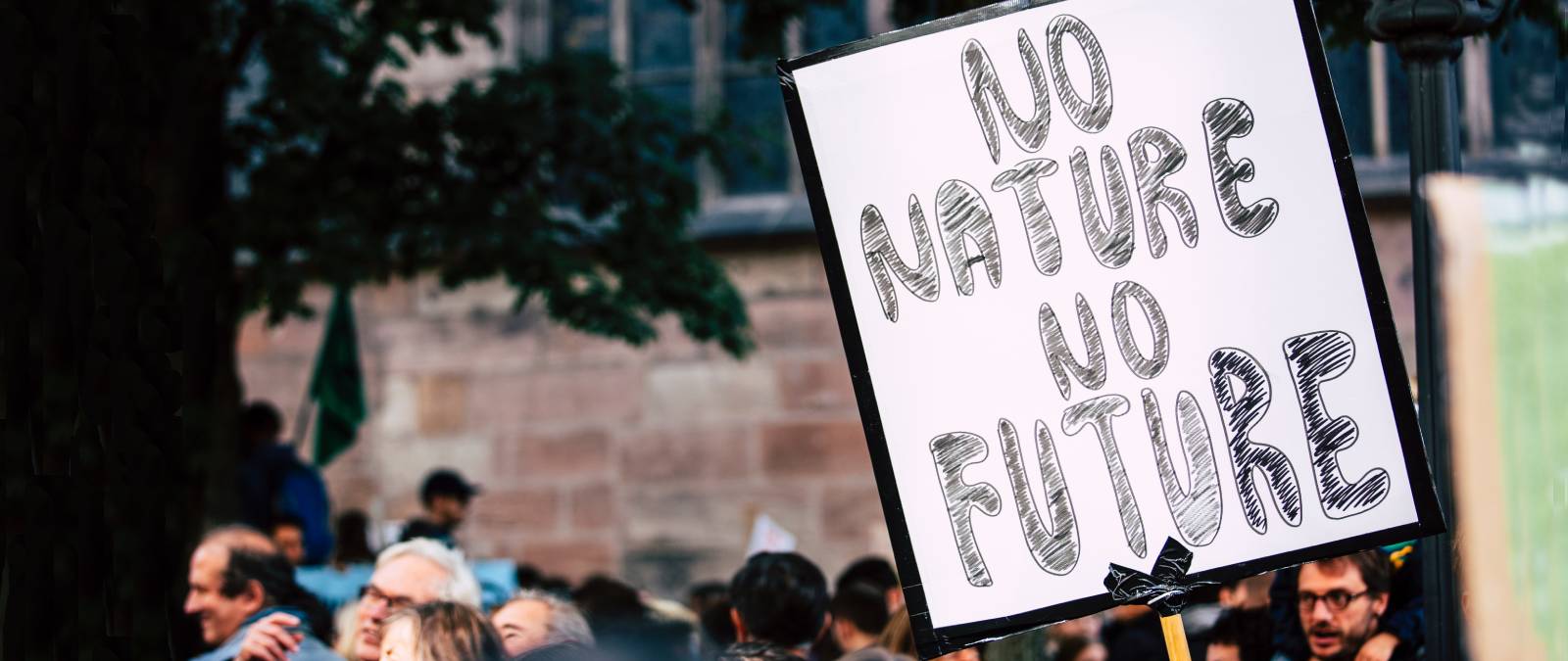 Sustainability and Education: a conference at IULM