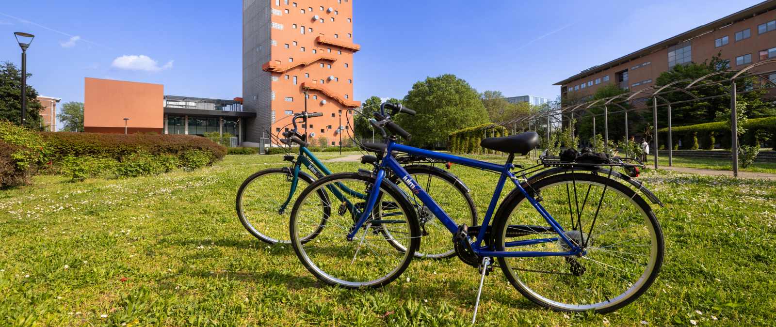 Giornata Mondiale dell&rsquo;Ambiente: l&rsquo;impegno di IULM per un campus più sostenibile