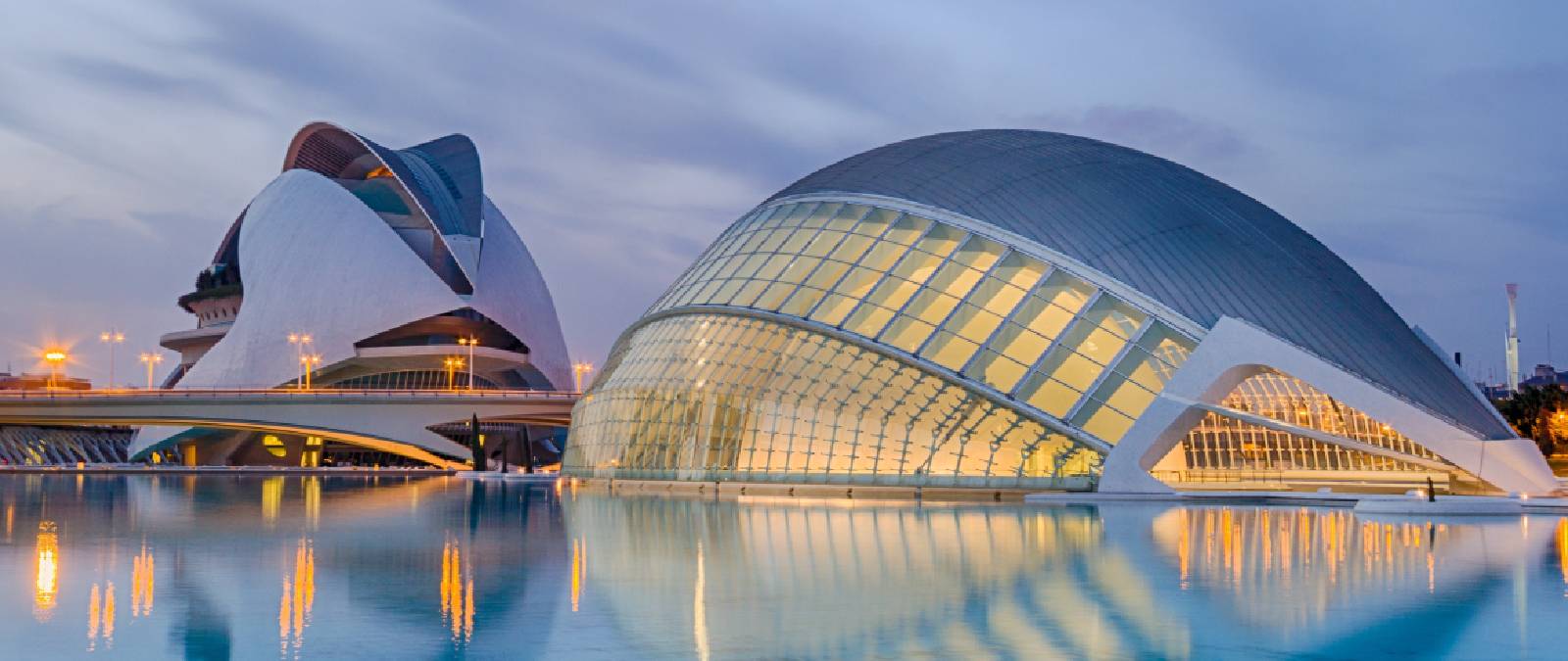 L'Erasmus al tempo del Covid