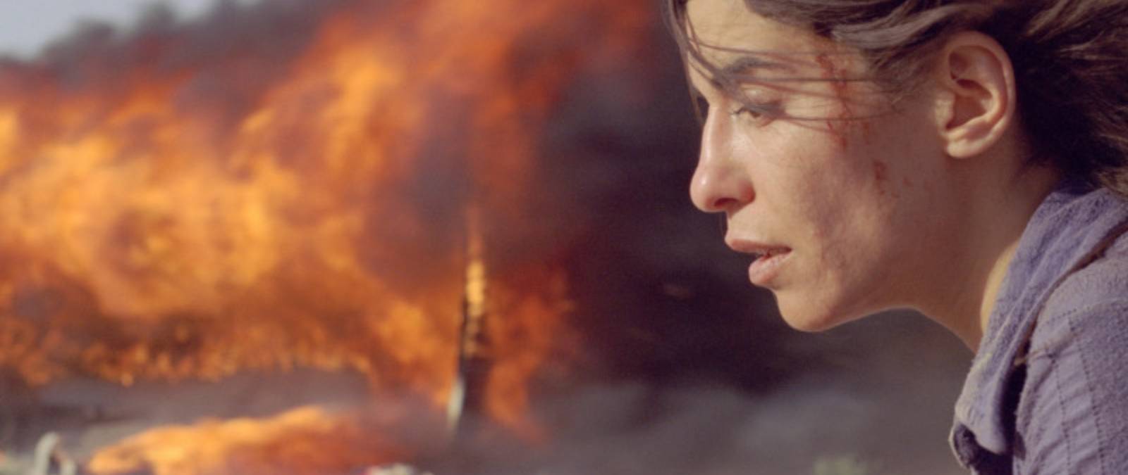 Rassegna cinematografica - Riflessioni in tema di violenza sulle donne