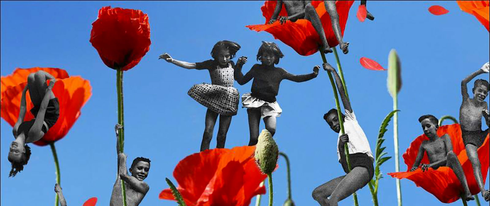 IULM partner dell'UnArchive Found Footage Fest