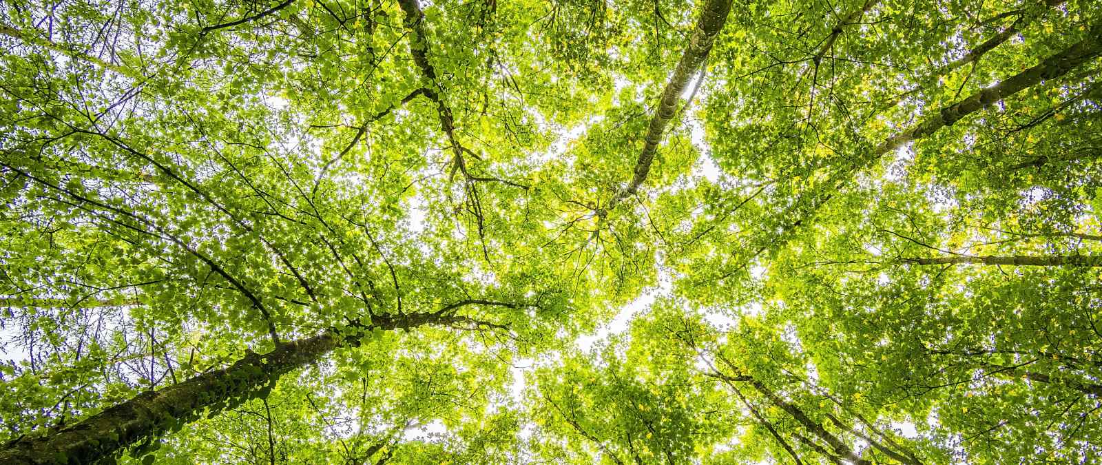 IULM alla Milano Green Week