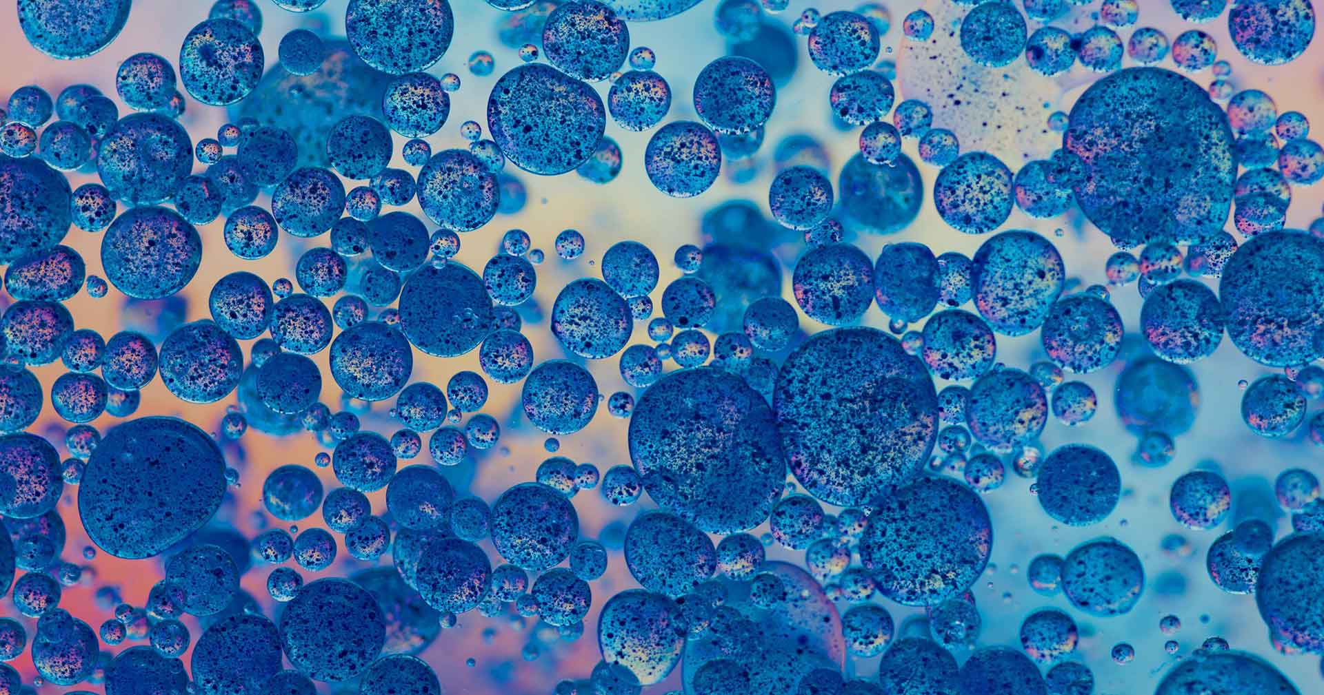 Inauguration ceremony of the IULM AI Lab