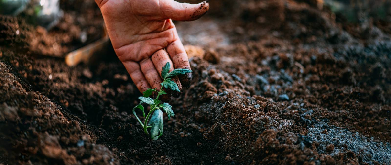 International Winter School