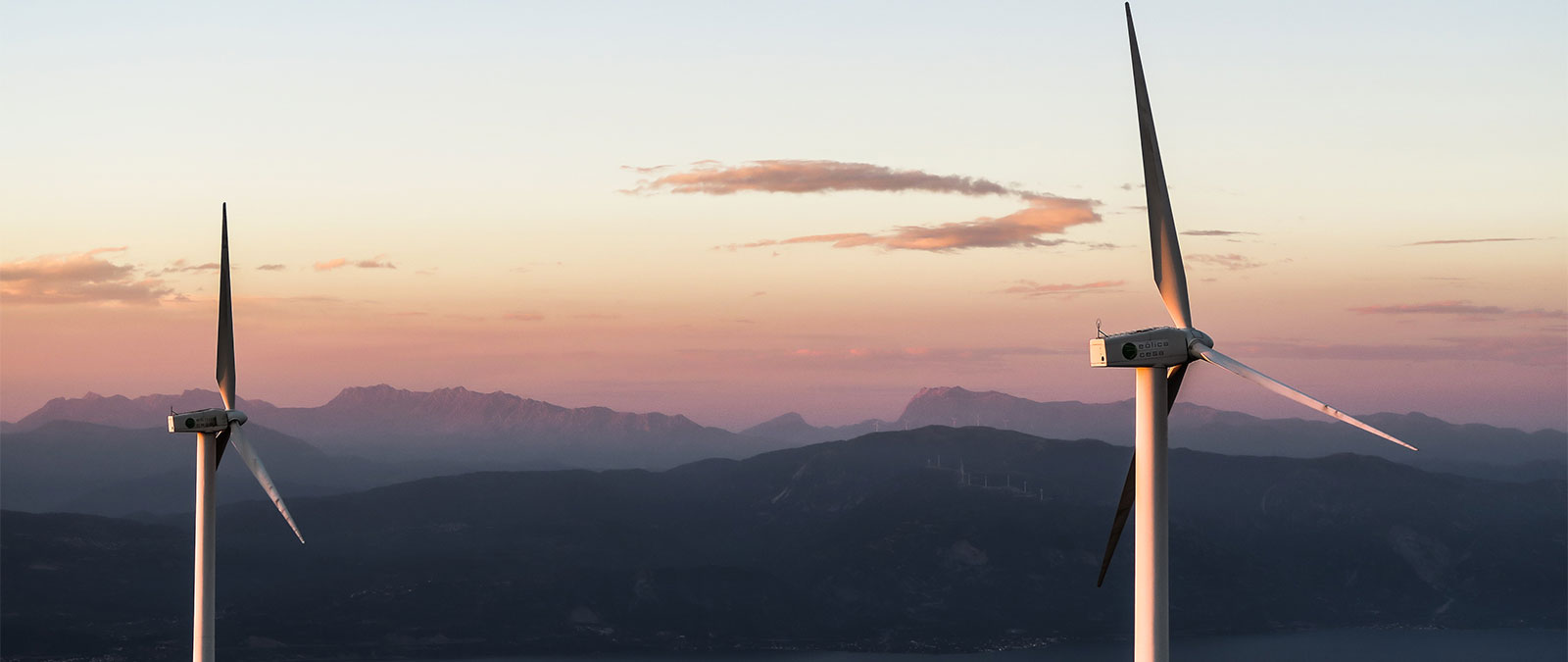 The Role of Women in Promoting Sustainability