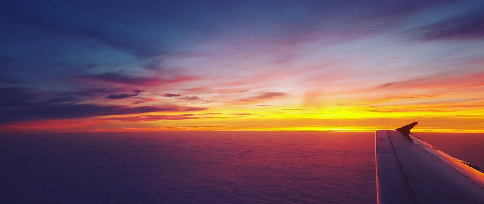 Language proficiency tests for mobility calls: registration open