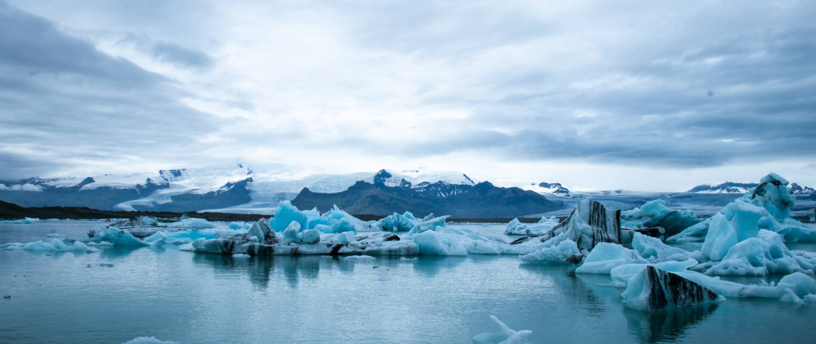 ALL4CLIMATE at IULM - Cinema and Environmental Education