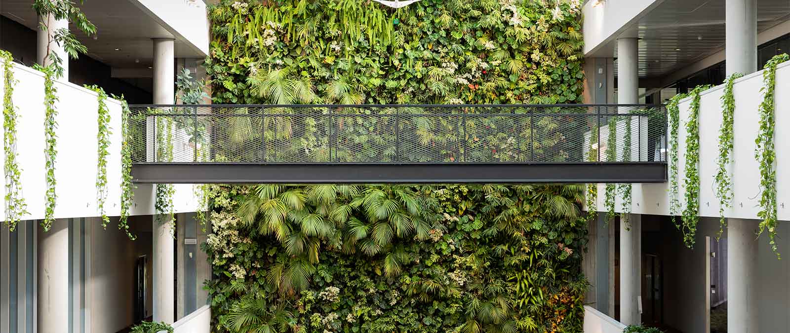 Masterclass con Ubaldo Minelli