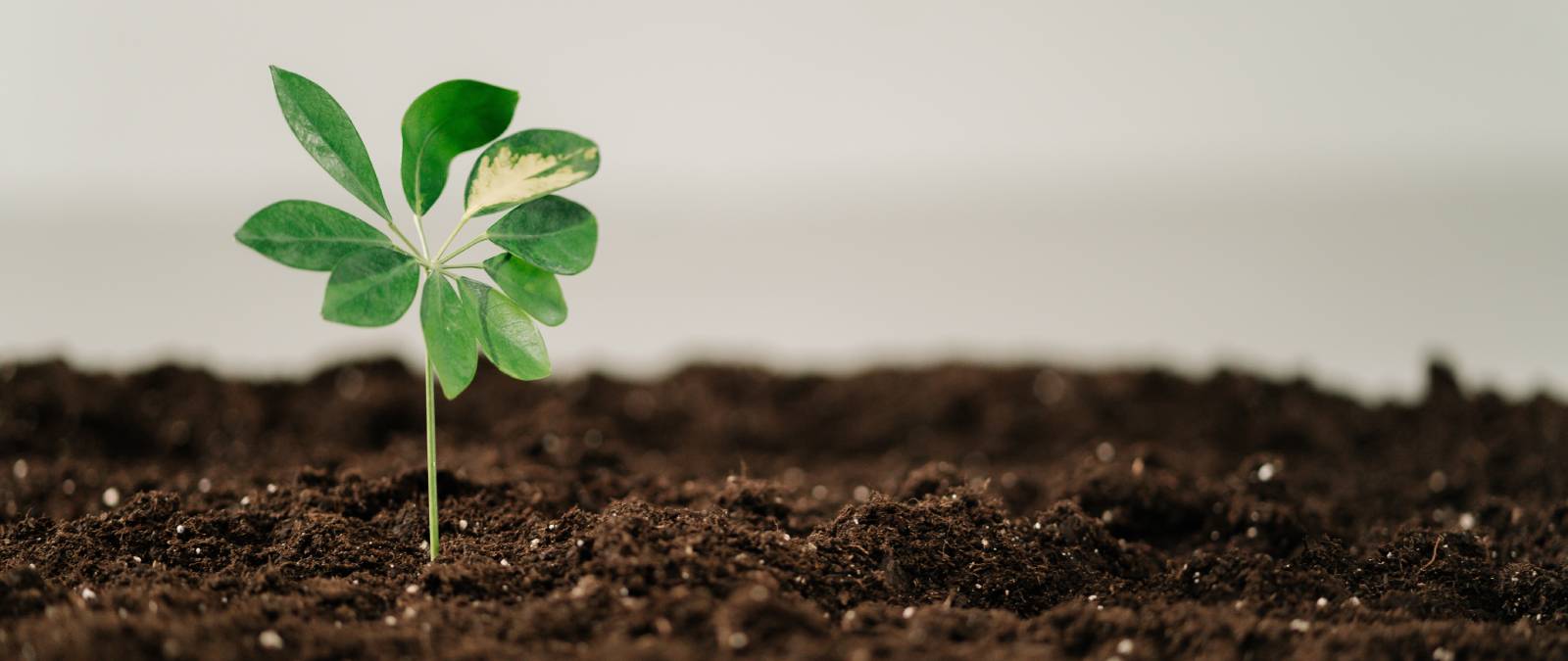 ESG e PNRR. Il ruolo della comunicazione