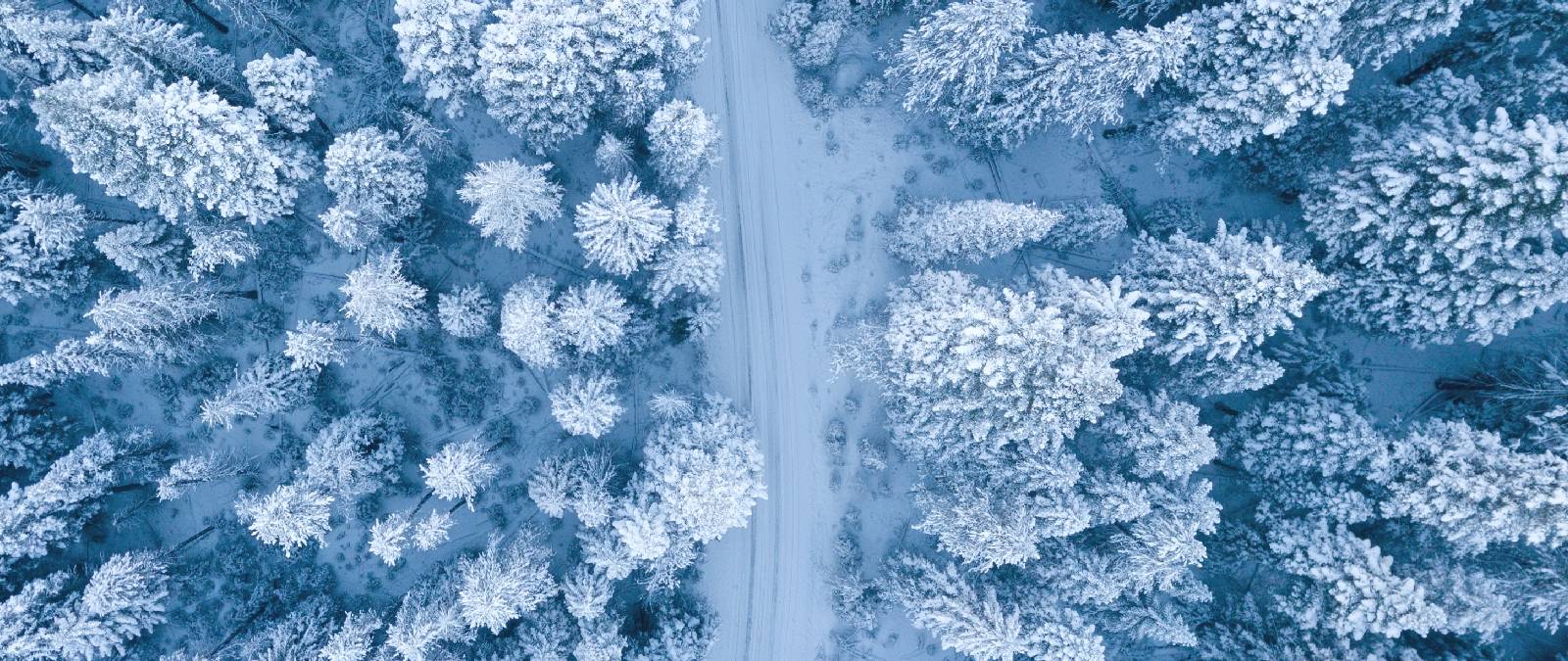 Chiusura Ponte Sant'Ambrogio