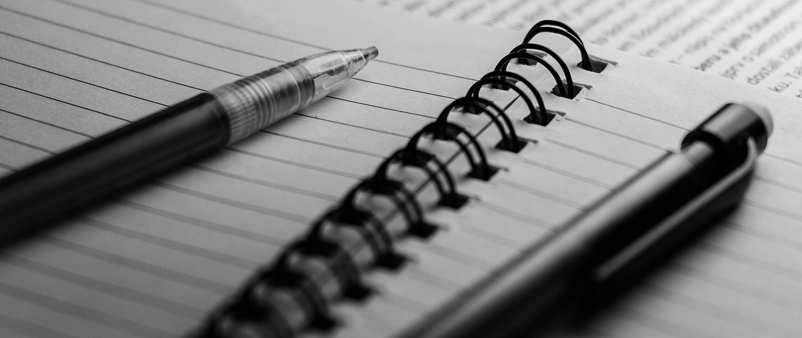 IULM "at Maturity" for second year: two faculty members' thoughts on exam topics