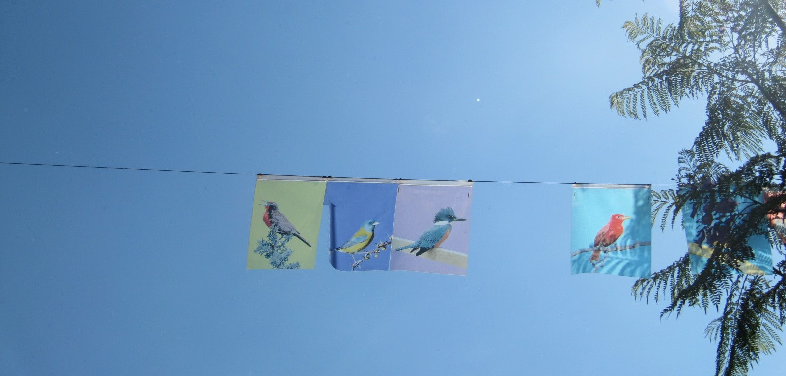 Seminari Transizioni alla democrazia: un confronto