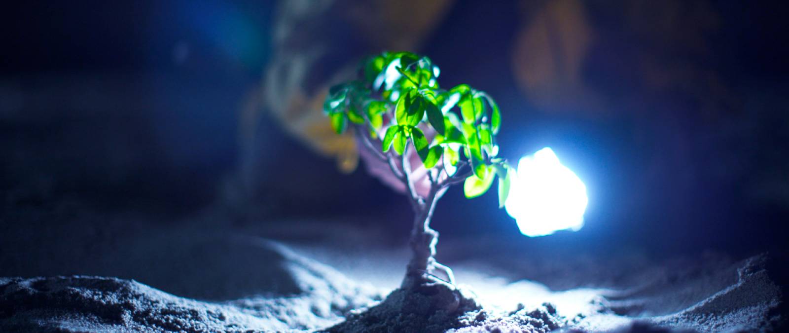 &ldquo;Genesi&rdquo;, il nuovo corto DirittiLab