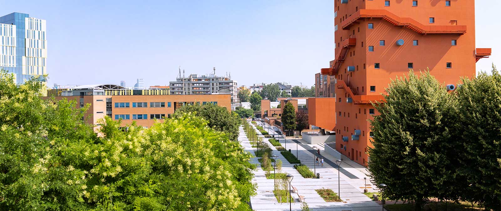 Una serie di webinar per conoscere i Master IULM