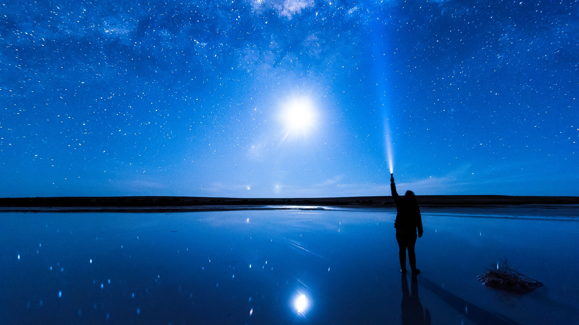 Look4ward – Build Your Future: i trend e le competenze di domani