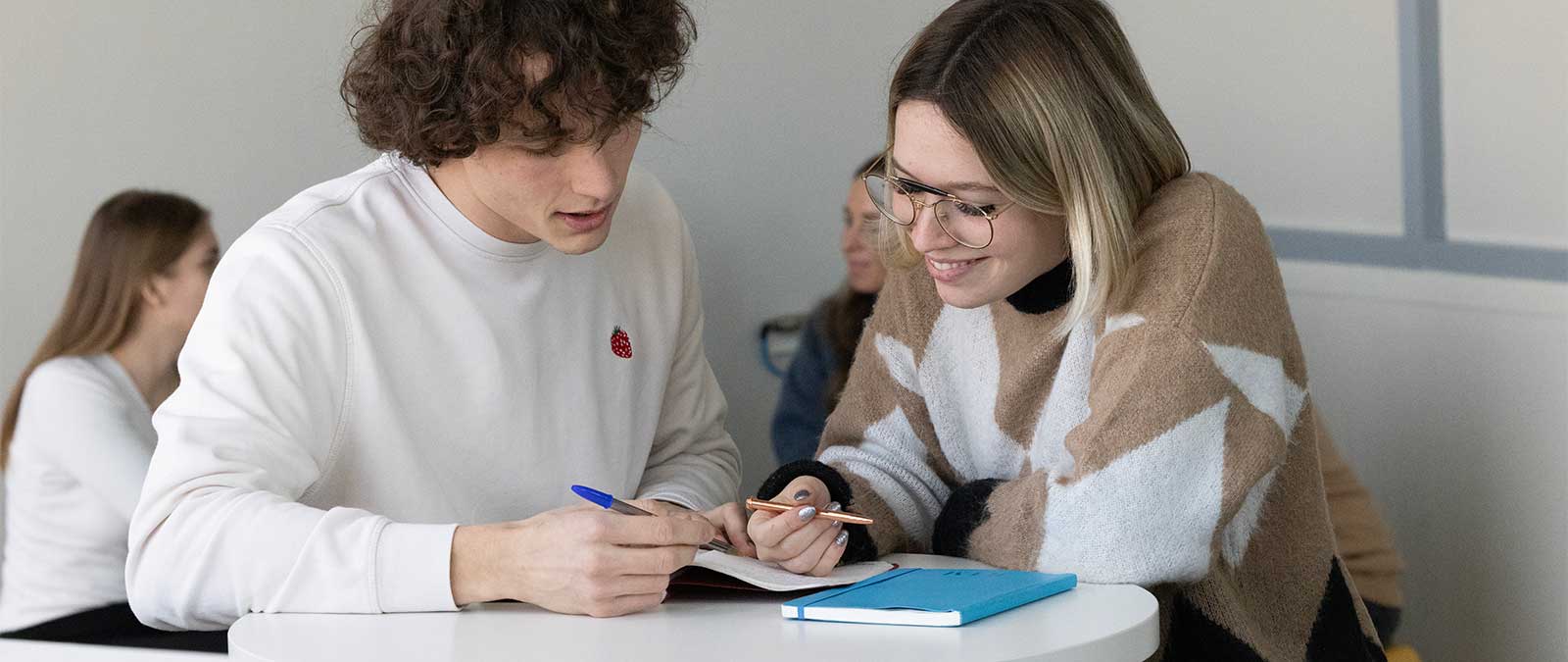 TOP - Tutoring Online Program