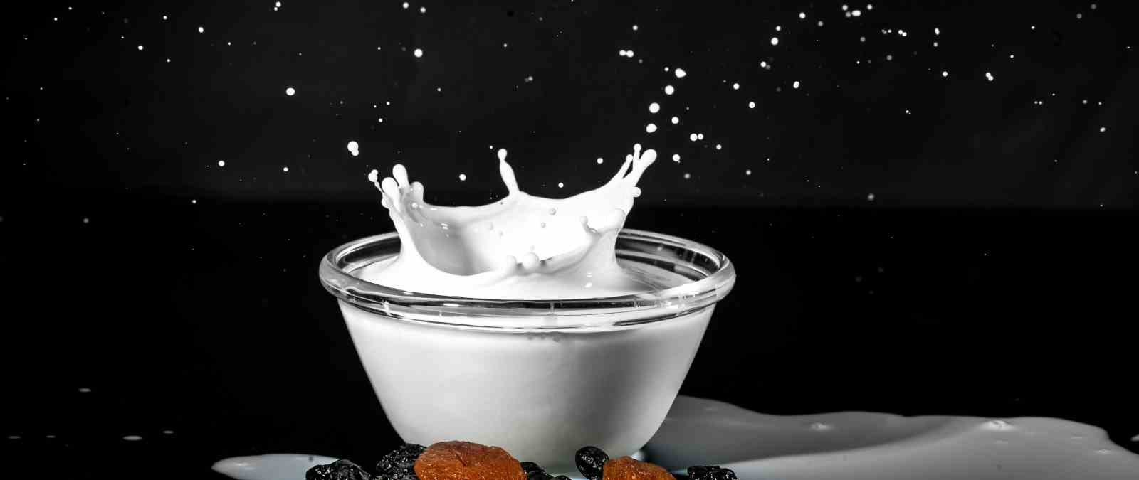 Made in Italy e industria casearia: una lezione in IULM sui retroscena del settore