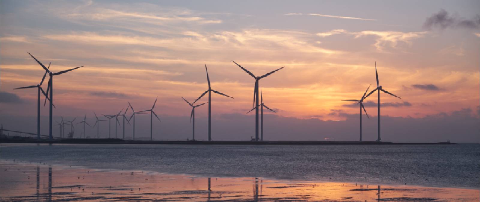 La Gamification al servizio della Sostenibilità