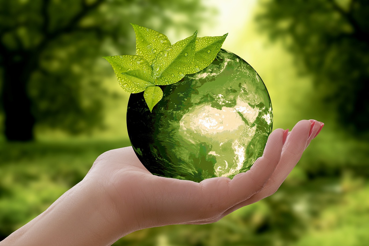 Panel on Sustainability: a report